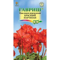 Цикламен Красный партизан (3шт). Гавриш