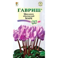 Цикламен Марк (3шт). Гавриш