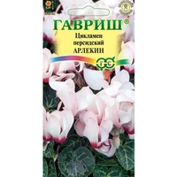 Цикламен Арлекин персидский (3шт). Гавриш