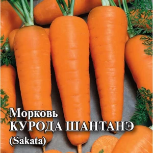 Морковь Курода Шантанэ (). Гавриш