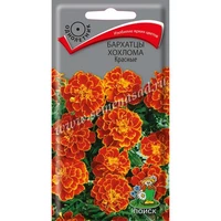 Бархатцы Хохлома Красные. Поиск