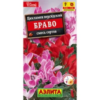 Цикламен персидский Браво, смесь окрасок (3шт). Аэлита