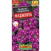 Вербена Маджента (10шт). Аэлита